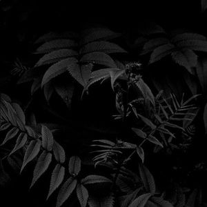 Meet your Posher, Ayla